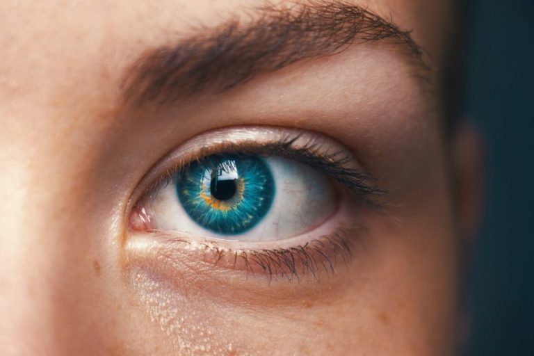 Revolutionizing Retinal Disease Insights: The Impact of AI Technologies