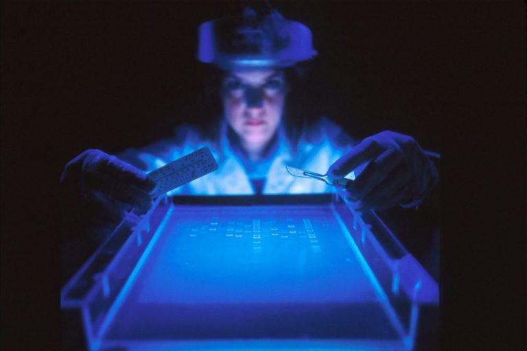 Accelerating Drug Discovery: How LabGenius Harnesses Graphcore’s IPUs for Innovation