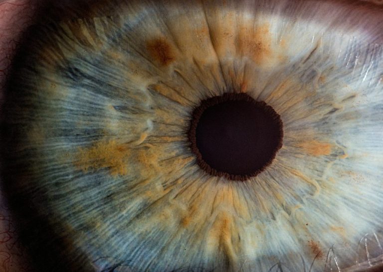 OpenAI Launches GPT-4 Turbo with Vision API for All Users