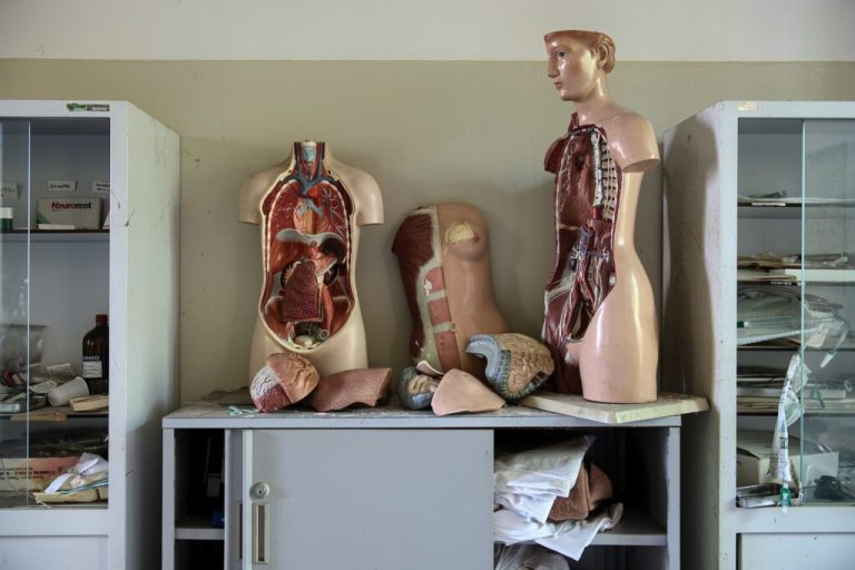 Revolutionizing Organ Donation: How AI is Selecting Optimal Transplants